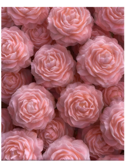 Nikah Şekeri - Jüt İp Süslemeli Pembe Şakayık Mum Hediyelik