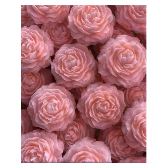 Nikah Şekeri - Jüt İp Süslemeli Pembe Şakayık Mum Hediyelik